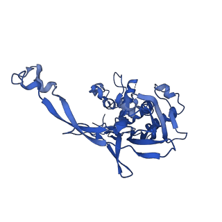 29459_8fuk_C_v1-0
V. cholerae TniQ-Cascade complex with Type III-B crRNA