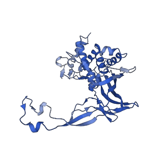 29459_8fuk_D_v1-0
V. cholerae TniQ-Cascade complex with Type III-B crRNA