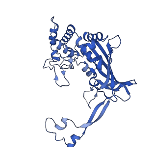 29459_8fuk_E_v1-0
V. cholerae TniQ-Cascade complex with Type III-B crRNA