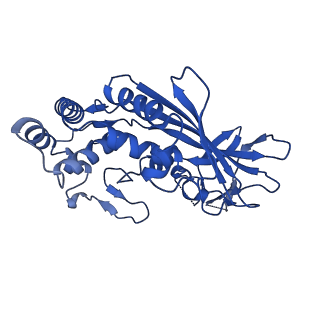 29459_8fuk_F_v1-0
V. cholerae TniQ-Cascade complex with Type III-B crRNA