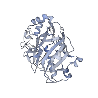29459_8fuk_G_v1-0
V. cholerae TniQ-Cascade complex with Type III-B crRNA