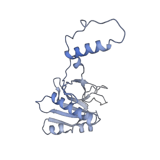 29459_8fuk_H_v1-0
V. cholerae TniQ-Cascade complex with Type III-B crRNA