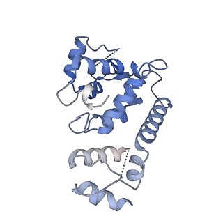 29459_8fuk_I_v1-0
V. cholerae TniQ-Cascade complex with Type III-B crRNA