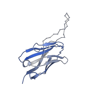 3308_5fuu_H_v1-2
Ectodomain of cleaved wild type JR-FL EnvdCT trimer in complex with PGT151 Fab