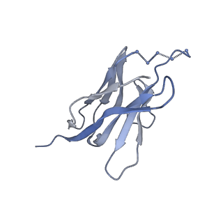 3308_5fuu_L_v1-2
Ectodomain of cleaved wild type JR-FL EnvdCT trimer in complex with PGT151 Fab