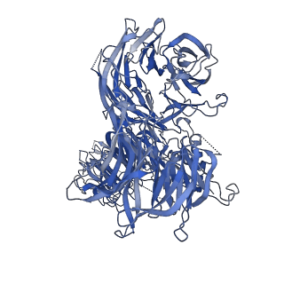 4225_6fuw_A_v1-2
Cryo-EM structure of the human CPSF160-WDR33-CPSF30 complex bound to the PAS AAUAAA motif at 3.1 Angstrom resolution