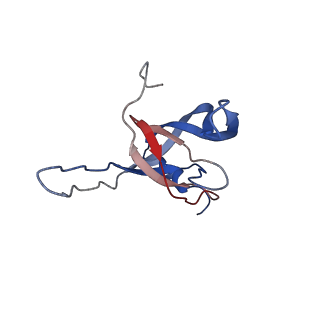 29487_8fvh_B_v1-0
Pseudomonas phage E217 neck (portal, head-to-tail connector, collar and gateway proteins)