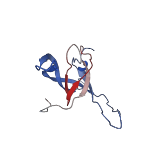 29487_8fvh_C_v1-0
Pseudomonas phage E217 neck (portal, head-to-tail connector, collar and gateway proteins)