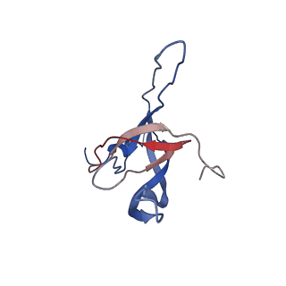 29487_8fvh_E_v1-0
Pseudomonas phage E217 neck (portal, head-to-tail connector, collar and gateway proteins)
