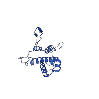 29487_8fvh_G_v1-0
Pseudomonas phage E217 neck (portal, head-to-tail connector, collar and gateway proteins)