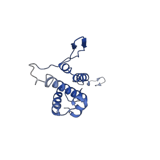 29487_8fvh_H_v1-0
Pseudomonas phage E217 neck (portal, head-to-tail connector, collar and gateway proteins)