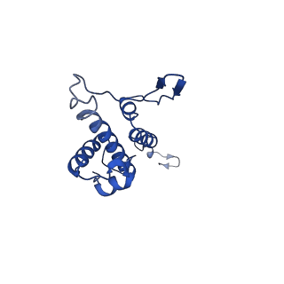 29487_8fvh_I_v1-0
Pseudomonas phage E217 neck (portal, head-to-tail connector, collar and gateway proteins)