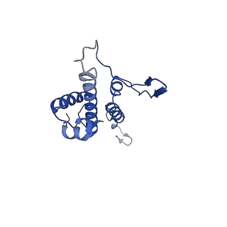 29487_8fvh_J_v1-0
Pseudomonas phage E217 neck (portal, head-to-tail connector, collar and gateway proteins)