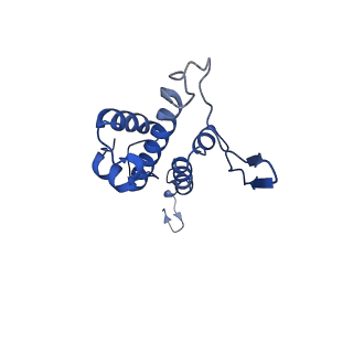 29487_8fvh_K_v1-0
Pseudomonas phage E217 neck (portal, head-to-tail connector, collar and gateway proteins)