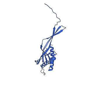 29487_8fvh_S_v1-0
Pseudomonas phage E217 neck (portal, head-to-tail connector, collar and gateway proteins)
