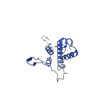 29487_8fvh_W_v1-0
Pseudomonas phage E217 neck (portal, head-to-tail connector, collar and gateway proteins)