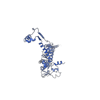 29487_8fvh_X_v1-0
Pseudomonas phage E217 neck (portal, head-to-tail connector, collar and gateway proteins)