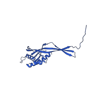 29487_8fvh_Y_v1-0
Pseudomonas phage E217 neck (portal, head-to-tail connector, collar and gateway proteins)