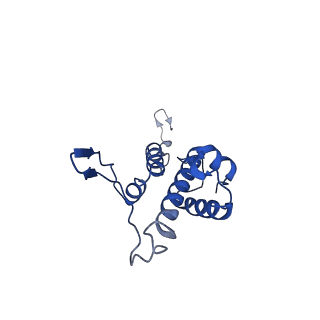 29487_8fvh_Z_v1-0
Pseudomonas phage E217 neck (portal, head-to-tail connector, collar and gateway proteins)