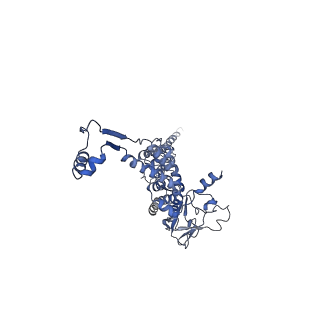 29487_8fvh_a_v1-0
Pseudomonas phage E217 neck (portal, head-to-tail connector, collar and gateway proteins)