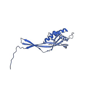 29487_8fvh_b_v1-0
Pseudomonas phage E217 neck (portal, head-to-tail connector, collar and gateway proteins)
