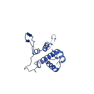 29487_8fvh_c_v1-0
Pseudomonas phage E217 neck (portal, head-to-tail connector, collar and gateway proteins)