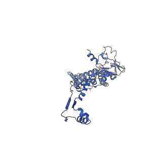 29487_8fvh_f_v1-0
Pseudomonas phage E217 neck (portal, head-to-tail connector, collar and gateway proteins)