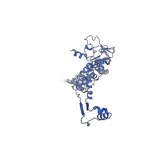 29487_8fvh_g_v1-0
Pseudomonas phage E217 neck (portal, head-to-tail connector, collar and gateway proteins)