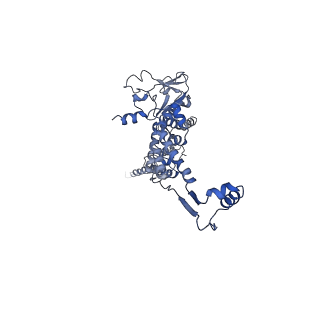 29487_8fvh_h_v1-0
Pseudomonas phage E217 neck (portal, head-to-tail connector, collar and gateway proteins)