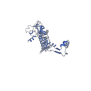 29487_8fvh_i_v1-0
Pseudomonas phage E217 neck (portal, head-to-tail connector, collar and gateway proteins)