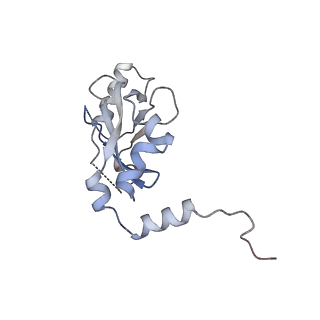 29488_8fvi_0_v1-0
Human APOBEC3H bound to HIV-1 Vif in complex with CBF-beta, ELOB, ELOC, and CUL5