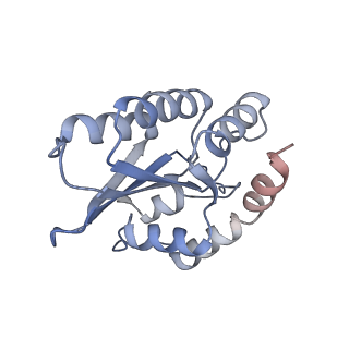 29488_8fvi_A_v1-0
Human APOBEC3H bound to HIV-1 Vif in complex with CBF-beta, ELOB, ELOC, and CUL5