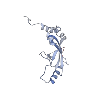 29489_8fvj_0_v1-0
Dimeric form of HIV-1 Vif in complex with human CBF-beta, ELOB, ELOC, and CUL5