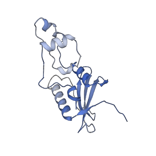 29489_8fvj_1_v1-0
Dimeric form of HIV-1 Vif in complex with human CBF-beta, ELOB, ELOC, and CUL5