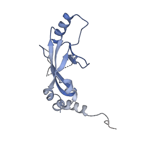 29489_8fvj_5_v1-0
Dimeric form of HIV-1 Vif in complex with human CBF-beta, ELOB, ELOC, and CUL5