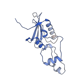29489_8fvj_6_v1-0
Dimeric form of HIV-1 Vif in complex with human CBF-beta, ELOB, ELOC, and CUL5