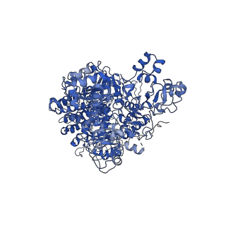 29493_8fvu_A_v1-3
Cryo-EM structure of human Needle/NAIP/NLRC4 (R288A)