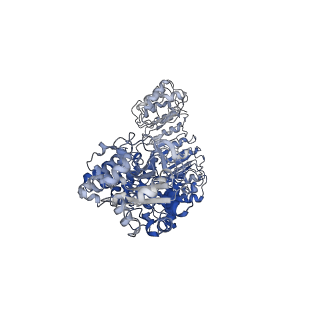 29493_8fvu_B_v1-3
Cryo-EM structure of human Needle/NAIP/NLRC4 (R288A)