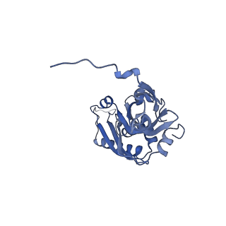 29495_8fvy_B_v1-1
40S subunit of the Giardia lamblia 80S ribosome