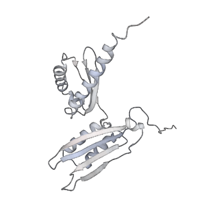 29495_8fvy_D_v1-1
40S subunit of the Giardia lamblia 80S ribosome