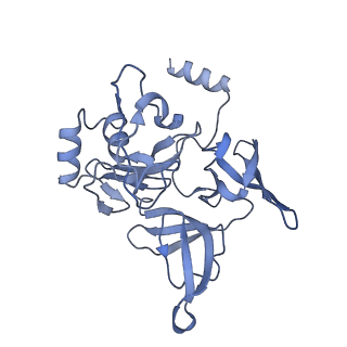 29495_8fvy_E_v1-1
40S subunit of the Giardia lamblia 80S ribosome