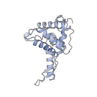 29495_8fvy_F_v1-1
40S subunit of the Giardia lamblia 80S ribosome
