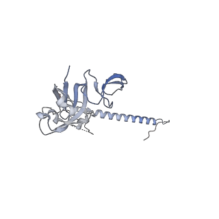 29495_8fvy_G_v1-1
40S subunit of the Giardia lamblia 80S ribosome