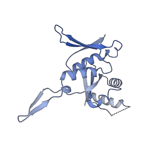 29495_8fvy_H_v1-1
40S subunit of the Giardia lamblia 80S ribosome