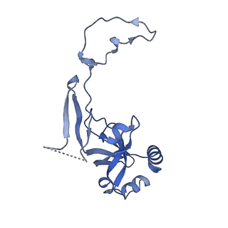 29495_8fvy_I_v1-1
40S subunit of the Giardia lamblia 80S ribosome