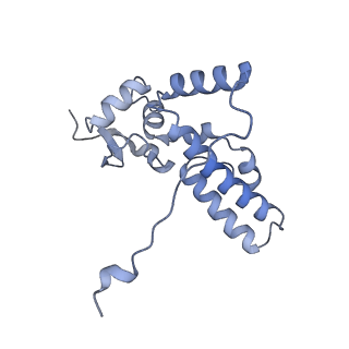 29495_8fvy_J_v1-1
40S subunit of the Giardia lamblia 80S ribosome