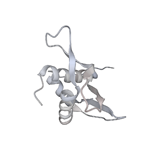 29495_8fvy_K_v1-1
40S subunit of the Giardia lamblia 80S ribosome