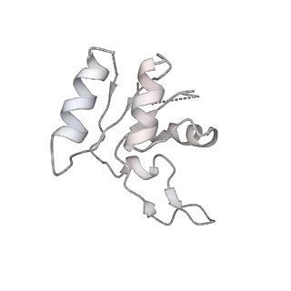 29495_8fvy_M_v1-1
40S subunit of the Giardia lamblia 80S ribosome