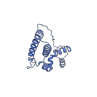 29495_8fvy_N_v1-1
40S subunit of the Giardia lamblia 80S ribosome