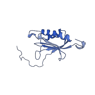 29495_8fvy_O_v1-1
40S subunit of the Giardia lamblia 80S ribosome